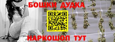 spice Шебекино