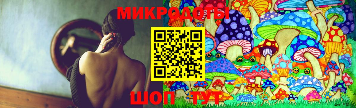 Псилоцибиновые грибы Муравленко